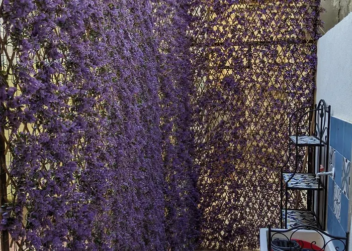 Apartamento Mola Mola House *