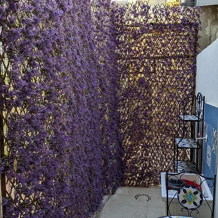 Apartment Mola Mola House *